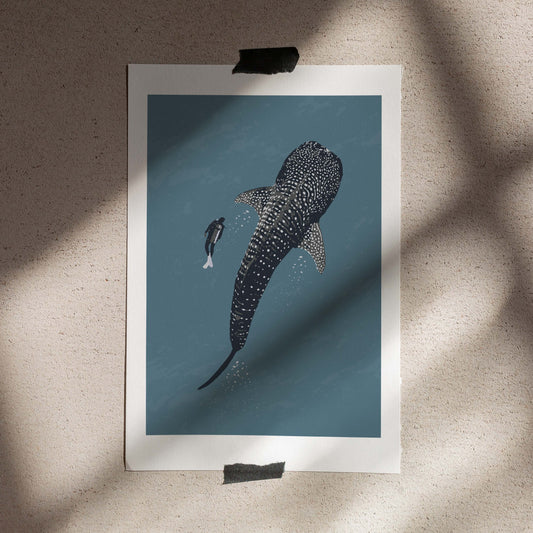 Poster 50x70 Whaleshark